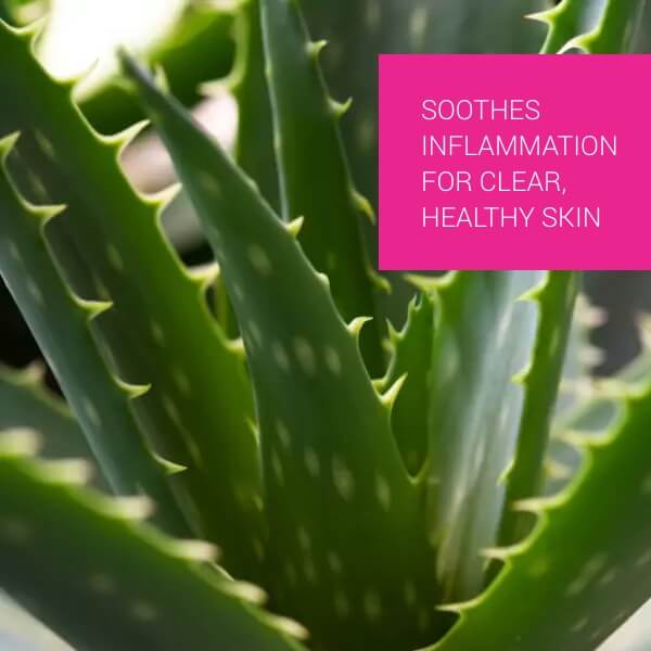 Anti Pimple Cream 75 Gm
