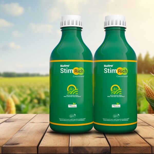 Stim Rich 500