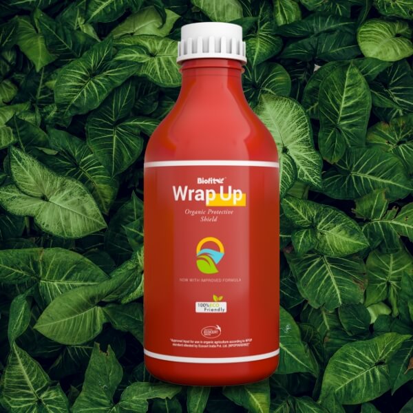 Wrap Up 1Ltr New