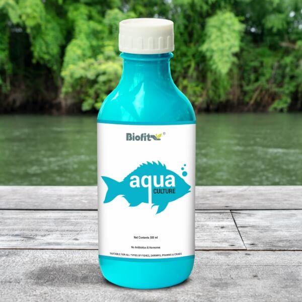  Aqua Culture