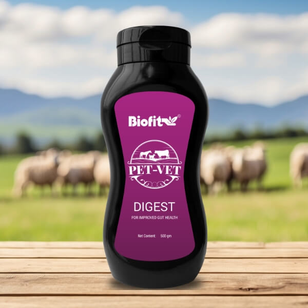  Petvet Digest