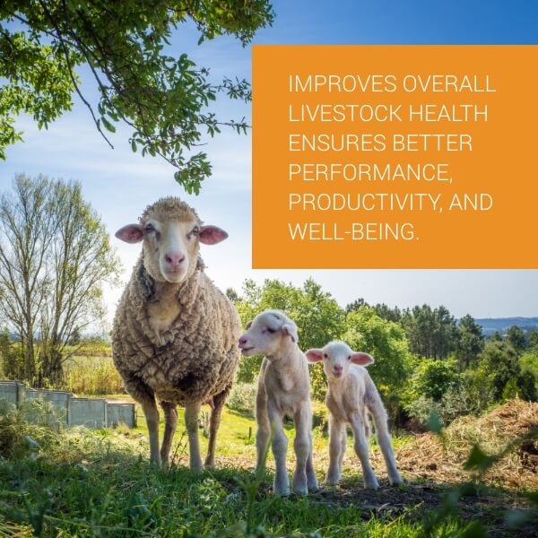  Petvet Digest