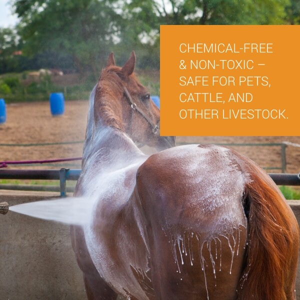  Petvet Shampoo