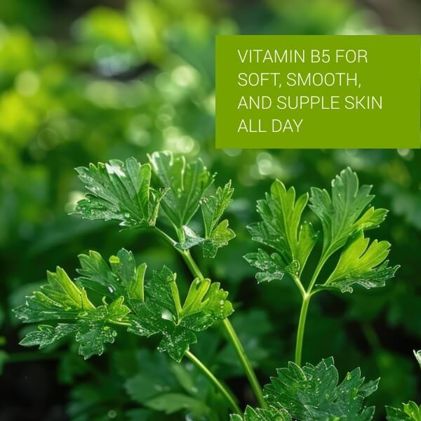 Moisturising Day Cream