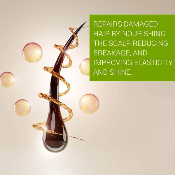 Scalp Renaissance Antihair Fall Shampoo