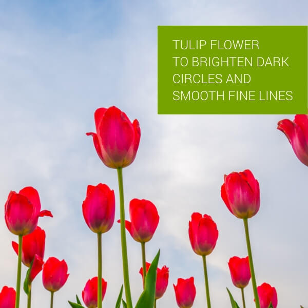 Under Eye Rejuvenating Gel