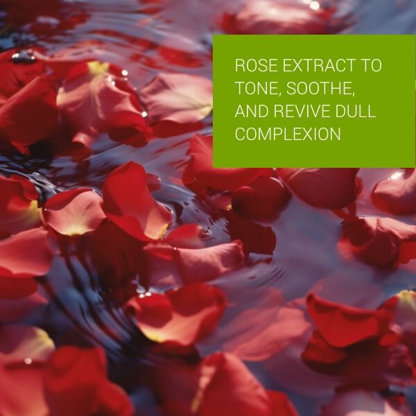 Hydrating Face Mist