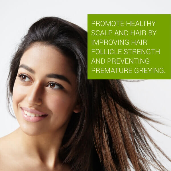 Scalp Renaissance Antidandruff Serum