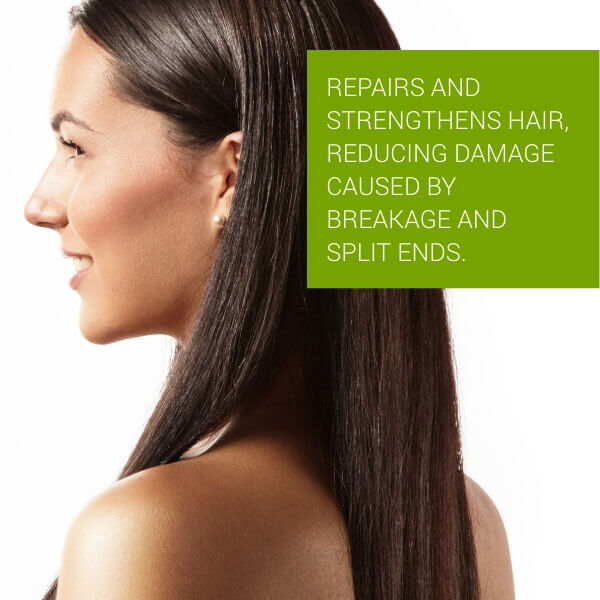 Scalp Renaissance Hair Nutriment