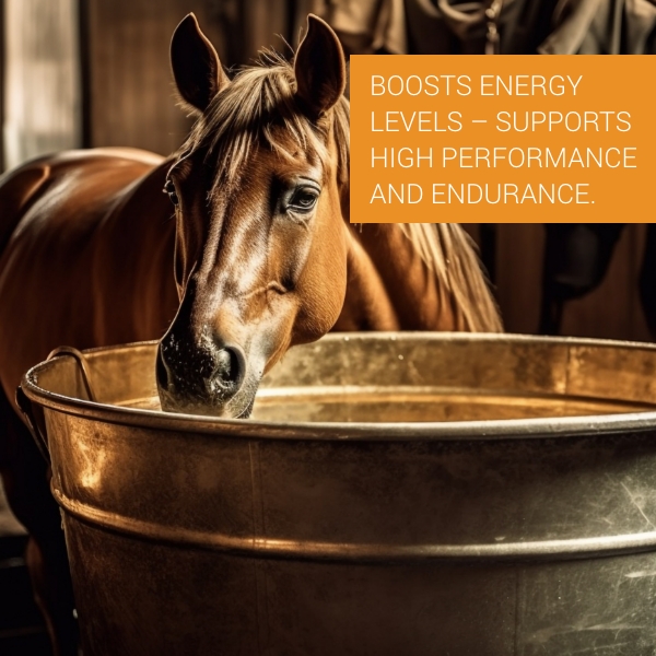  Pet Vet Advanced Feed Supplement 500Gm