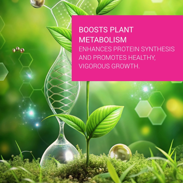  Prostim Biostimulant