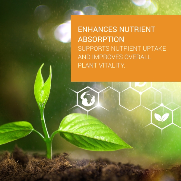  Prostim Biostimulant