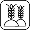 how-to-consume-icon2