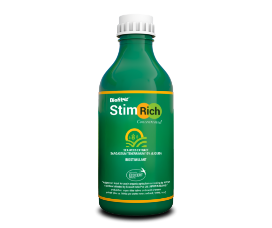 Stim Rich 500