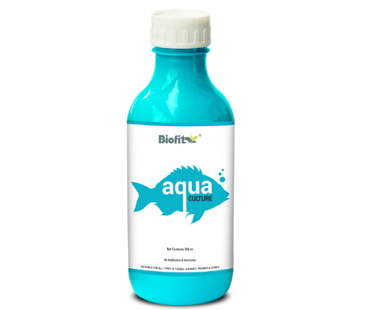  Aqua Culture