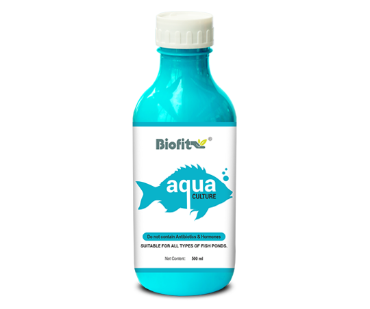  Aqua Culture