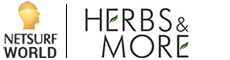 netsurfworld Logo